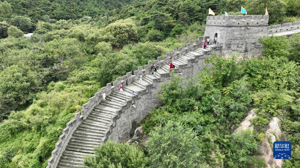 真人游戏平台app下载